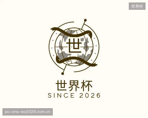 解读世界杯公司